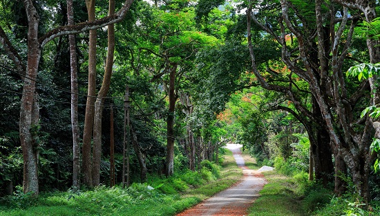 Vườn quốc ɡia Ba Vì