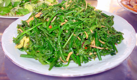 am thuc ba vi 6