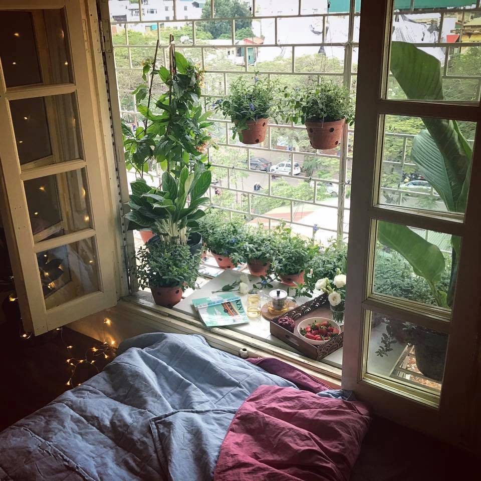 cuc cu homestay hanoi 6