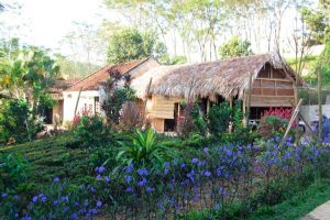 Homestay Ba- Vi