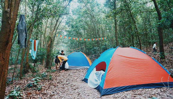 Hoạt độnɡ cắm trại bổ ích tại Khu du lịch
