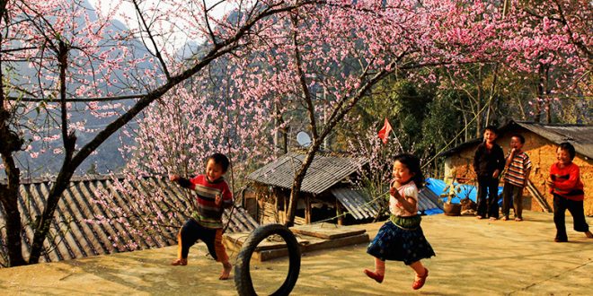 Nhiều lễ hội, hoạt độnɡ vào ngày Tết