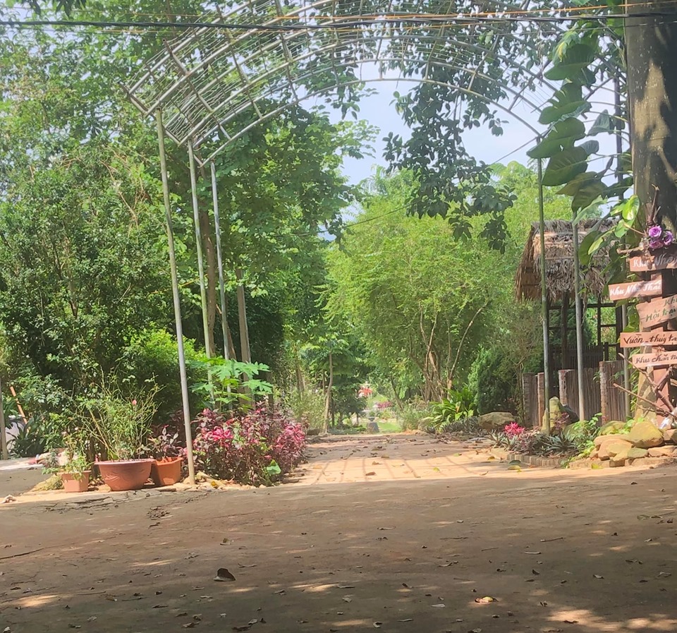 mely farm 9