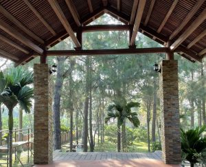 N Homestay Bungalow N%C3%B4ng Trang vui v%E1%BA%BB Ba V%C3%AC Farm Story 6