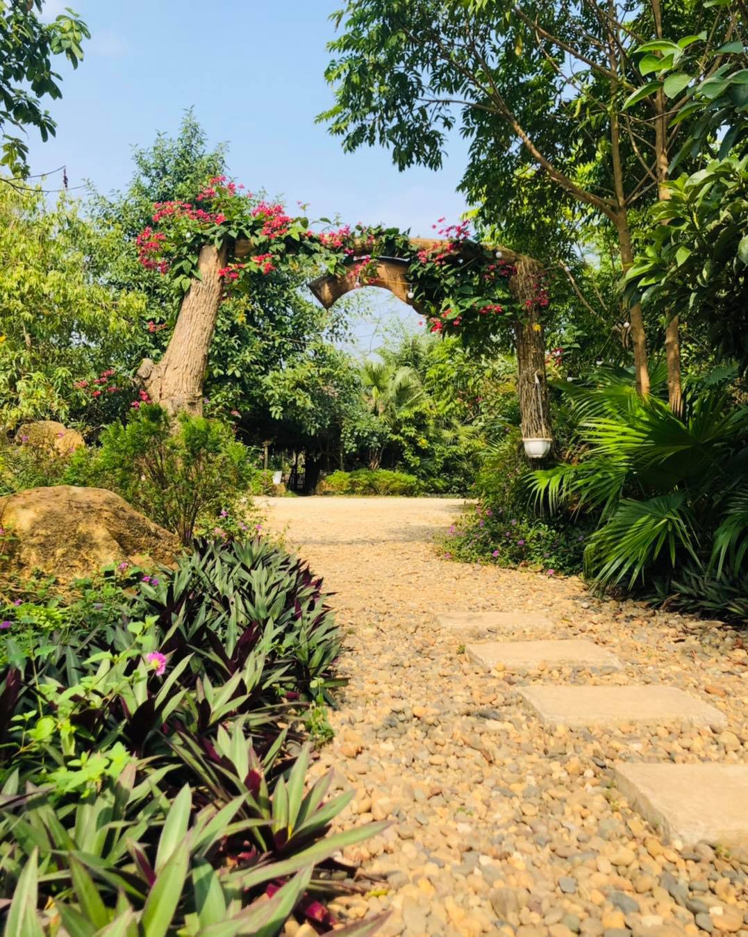 Sân vườn Queen Homestay