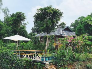 homestay-ba-vi