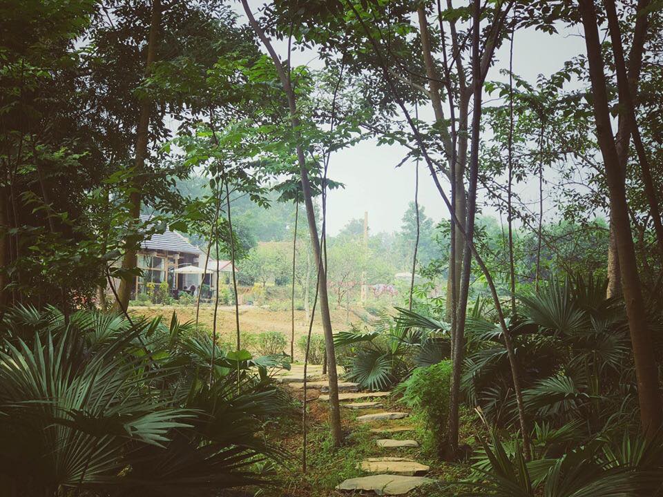 queen homestay