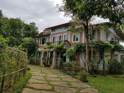 Homestay Rose Villa Ba Vi yên bình, nên thơ