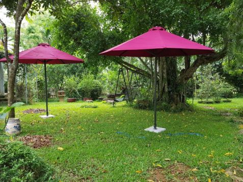 Homestay Rose Villa Ba Vi yên bình, nên thơ