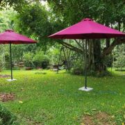 Homestay Rose Villa Ba Vi yên bình, nên thơ