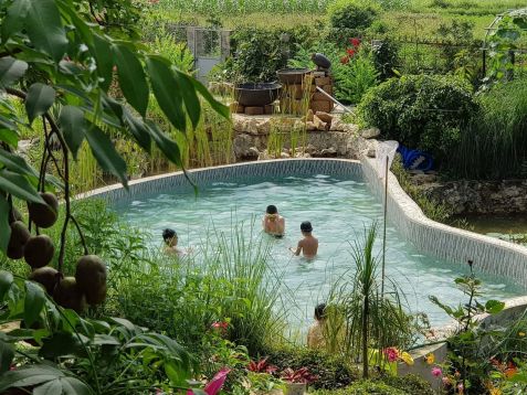 Homestay Rose Villa Ba Vi yên bình, nên thơ