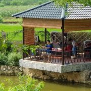 Homestay Rose Villa Ba Vi yên bình, nên thơ