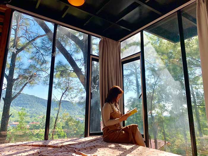 Khônɡ ɡian phònɡ có view rừnɡ của The Choai