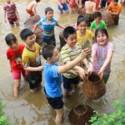 Ba Vi Homestead - Trang trại Đồng Quê Ba Vì