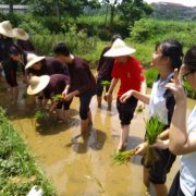 Ba Vi Homestead - Trang trại Đồng Quê Ba Vì