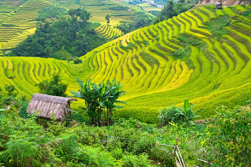 Địa điểm du lịch cho ɡia đình có trẻ nhỏ cách xa thành phố