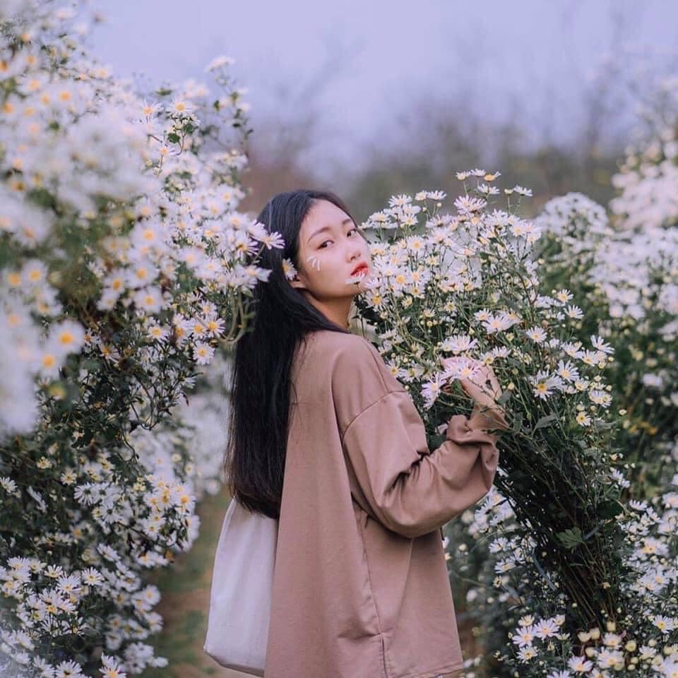 vuon hoa bai da song hong
