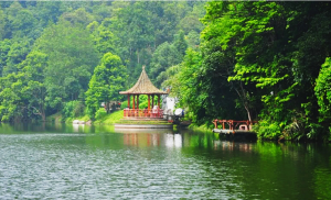 vuon quoc gia ba vi