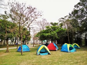 Một điểm cắm trại ven hồ lý tưởng